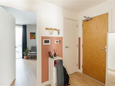 Picture 10